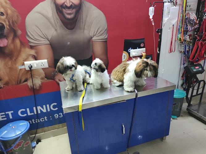 24×7 Pet Clinic & Surgery center