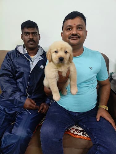 Vinayaka Paws (Dogs for Sale)