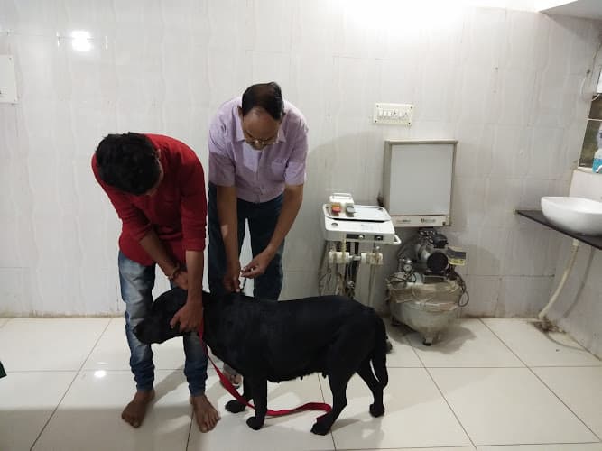 Dr.Gautam's Dog Clinic And Hospital