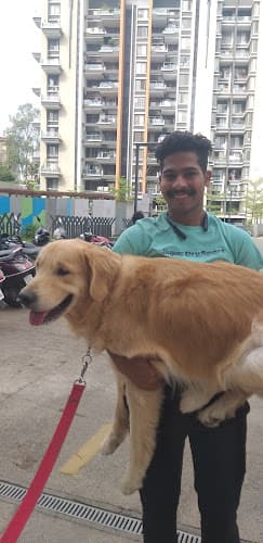 SK Pet's Dog Walking Services in pune