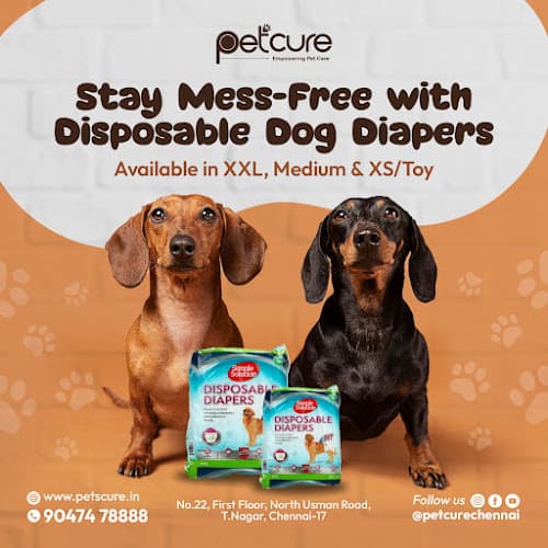 Petcure Pet Hospital