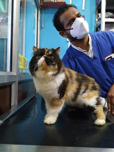 SUNLIFE VETERINARY CARE