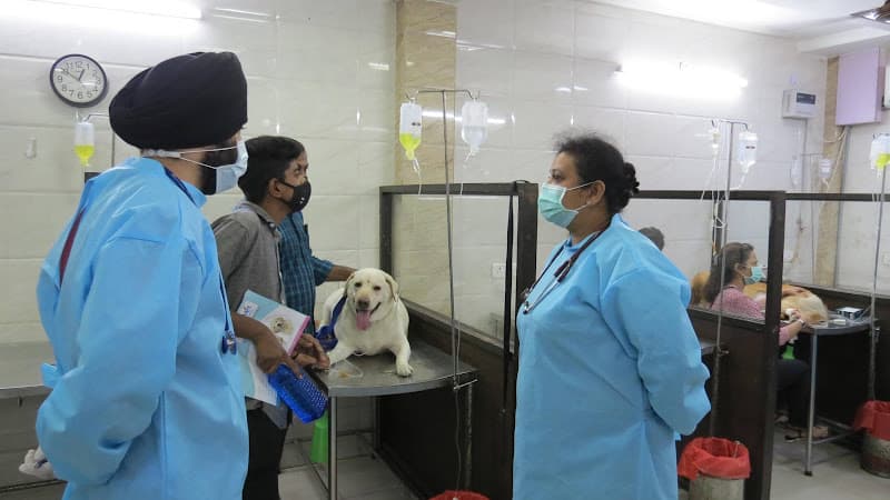Doggy World Veterinary Hospital Rohini