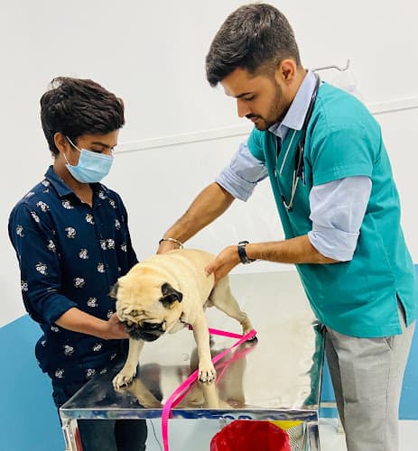 Asteria veterinary centre