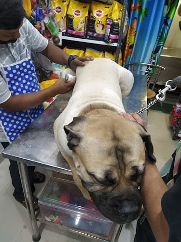 Pet Well Veterinary Clinic