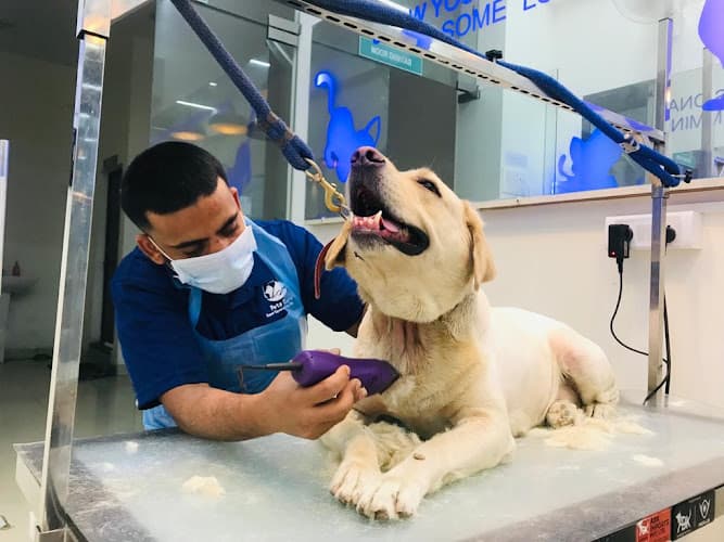 Pet's Space Grooming Parlour-Jubilee Hills