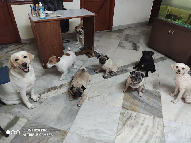 Bellona Furbabies Creche