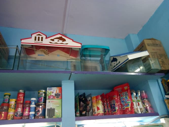 Brother's Aquarium Shop