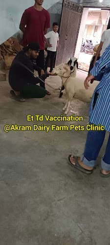 Akram Dairy Farm pet's Clinic