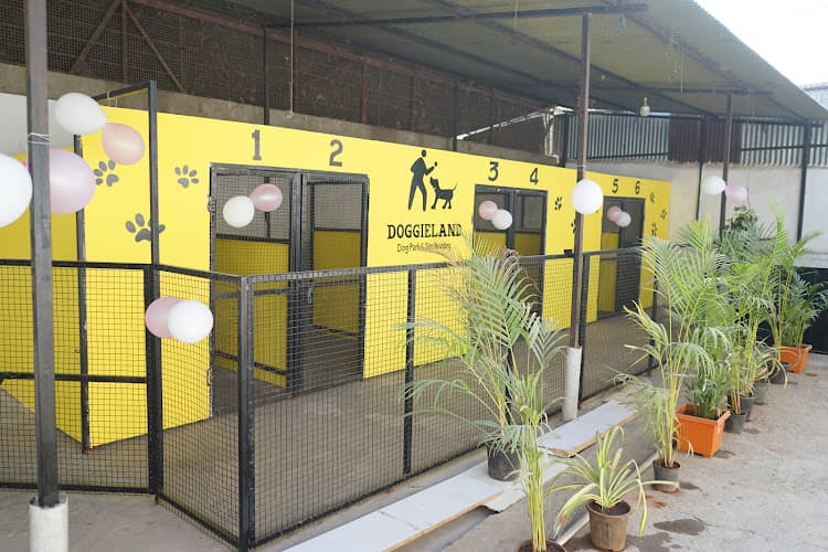Doggieland