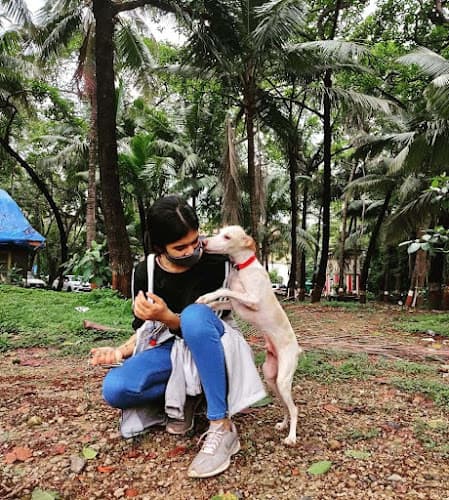 PawTalk | Animal Communication, Grooming and Rescue Service