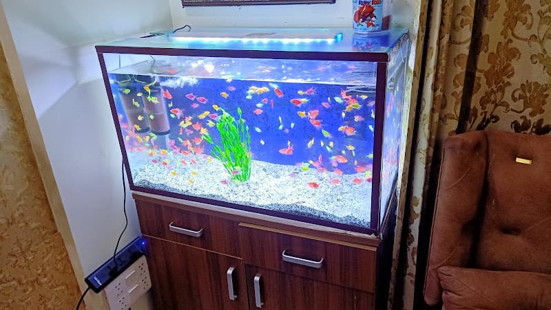 TSA Fish Aquarium Home