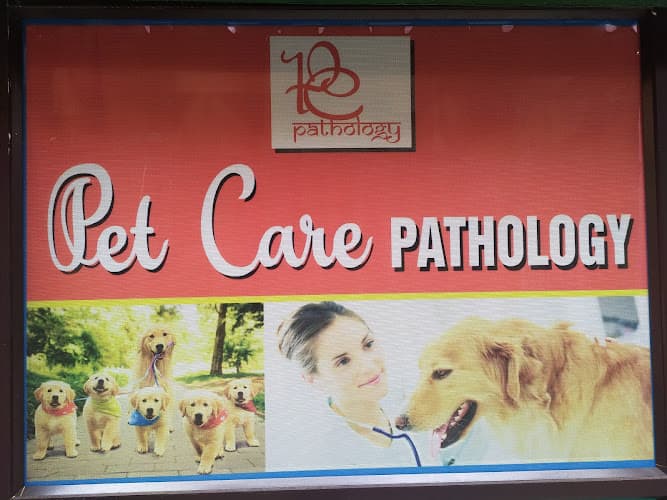 PET CARE PATHOLOGY