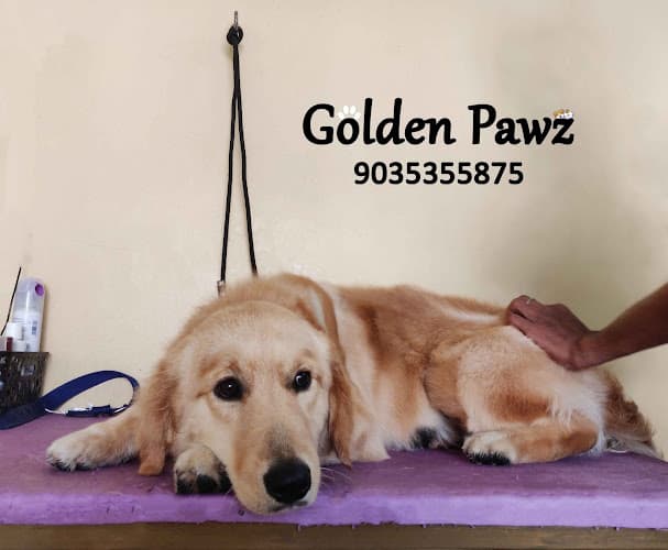 Golden Pawz - Pet Grooming