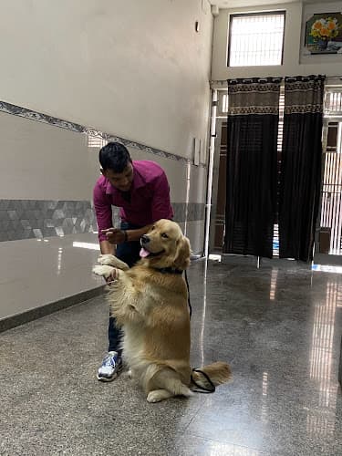 Dog Trainer Deepak and boarding house