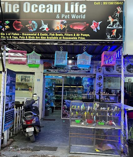The Ocean Life & Pet World
