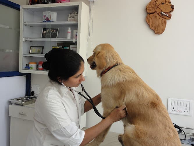 PetCetera Small Animal Clinic