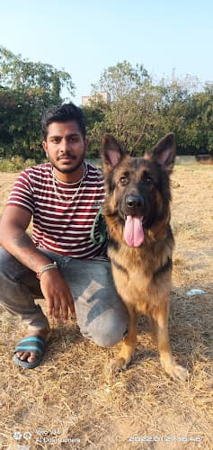 Prince Dog Training (ಪ್ರಿನ್ಸ್ ನಾಯಿ ತರಬೇತಿ ಕೇಂದ್ರ)