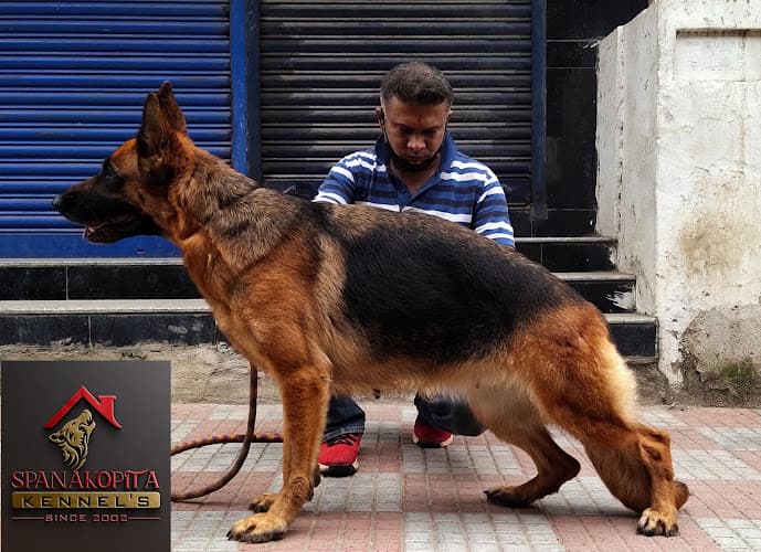 Spanakopita Kennel's