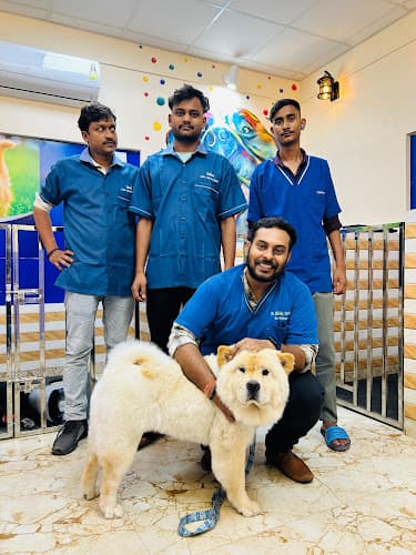 Apex Vets | Best Pet Clinic in Varanasi | Best Pet grooming centre in Varanasi | Best Pet Surgical Treatment in Varanasi