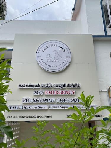 Celestial Paws Veterinary Clinic