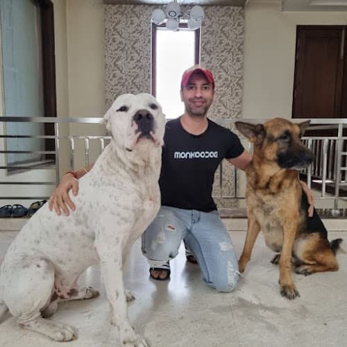 Home Veterinary Services and Pet Vaccination | Monkoodog