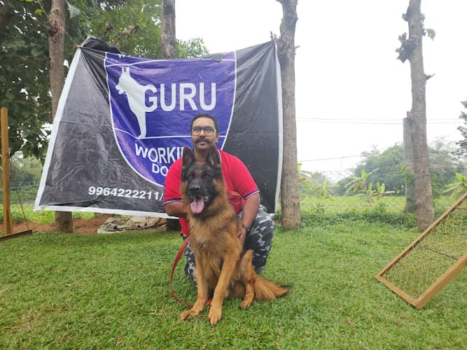 Amrut Dogguru Services Pvt Ltd