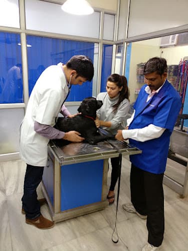 Pet Care Hospital