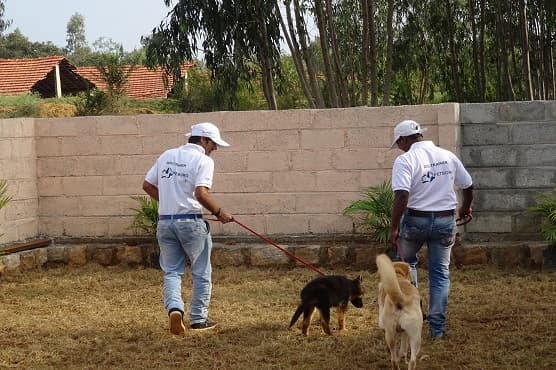 Petboro Pet Resort and Kennels