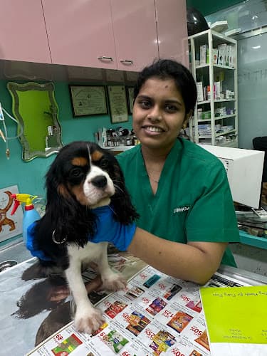 Urban paws pet clinic