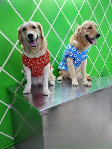 ADORABLES Pet Clinic