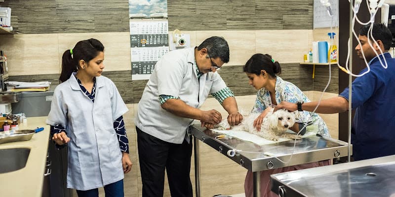 Dr Choudhary's Pet Clinic