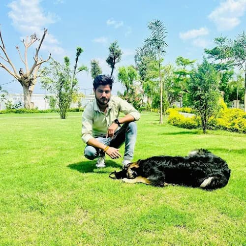 Kuddles dog Training and boarding house 🏠