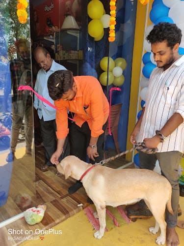 all animal care hospital