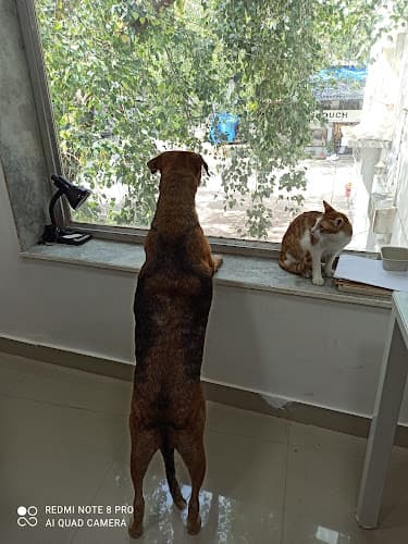 Raksha Animal Welfare Center