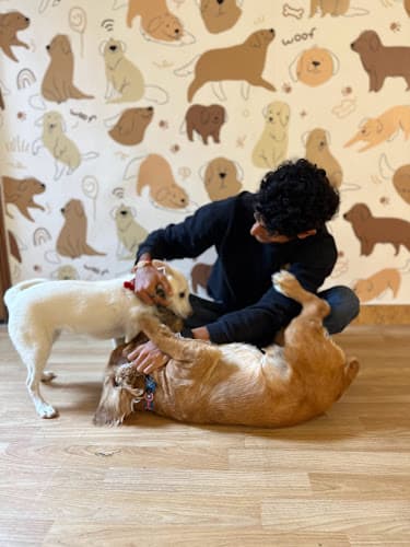 The Pet Cafe Pune