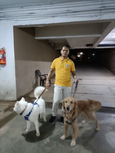 Rakesh's Professional Dog Walking and Dog Training Service