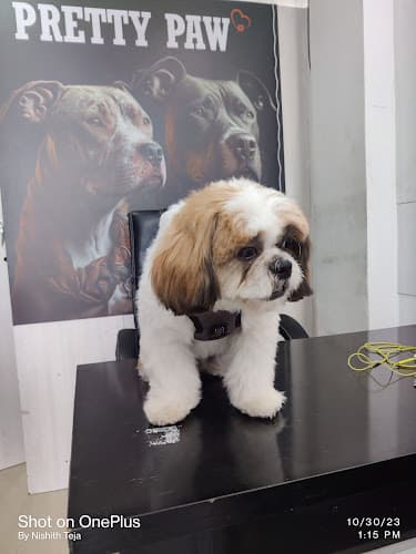 Pretty paw 🐾 Pet Grooming Studio & clinic