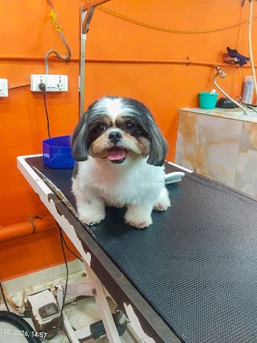 Bubbles Pet Grooming and Boarding