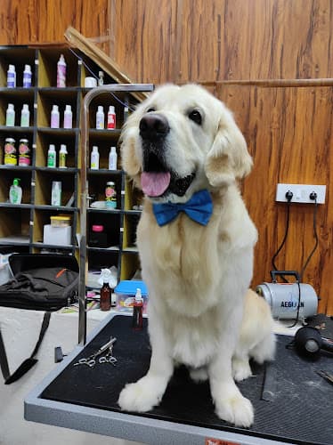 Happipets Pet Grooming Pet Boarding