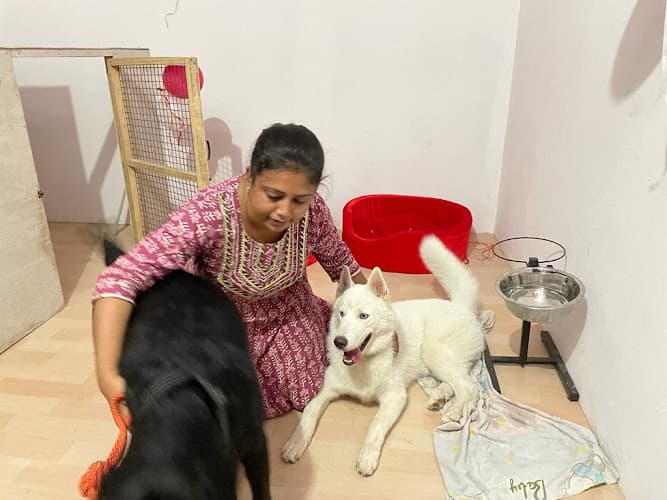 Simba Pet Care And Boarding