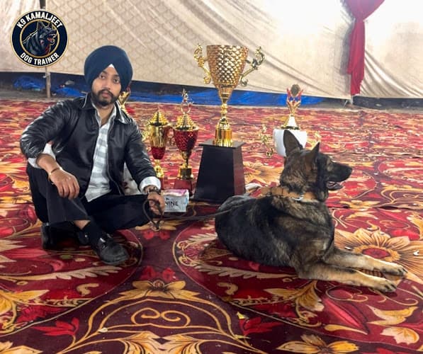 K9 Kamaljeet Dog trainer