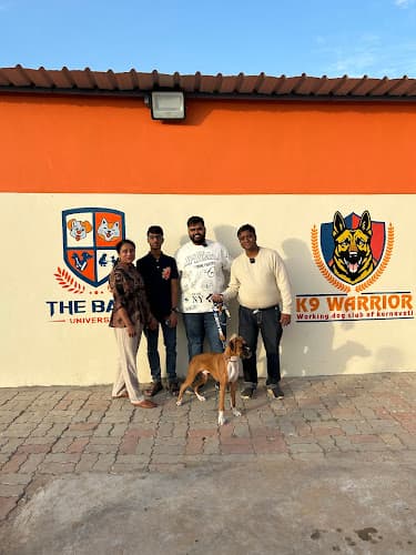 The Bark University | Training & Boarding Centre for Dogs