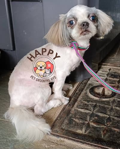 Happy pet grooming service