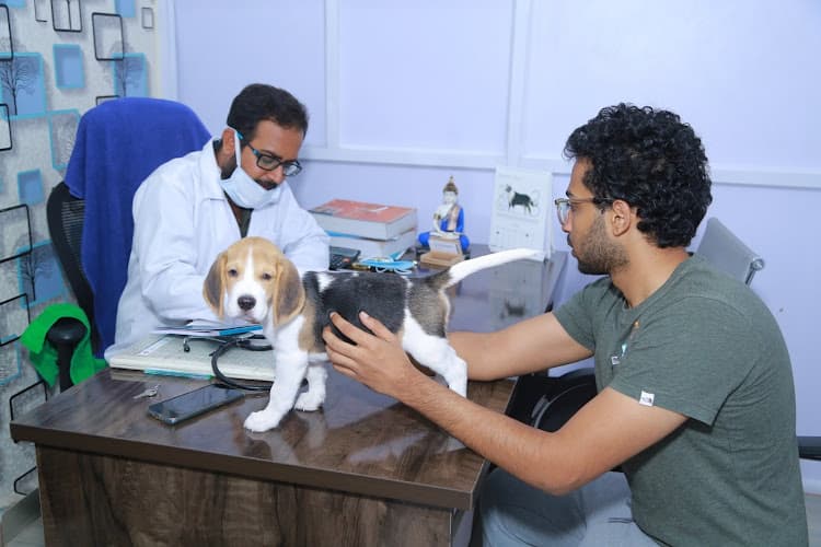 Care & Cure The Animal Hospital and surgical center.