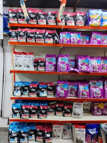 The Dog Sale KCI Certified Puppies husky puppies Shih Tzu puppies golden retriever puppies for sale Rottweiler puppies