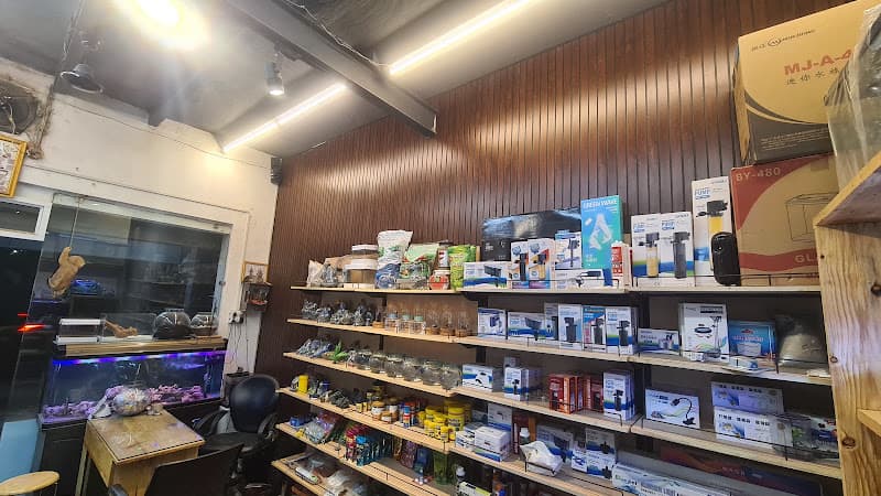 Pets Aqua-(Best Aquarium Shop)