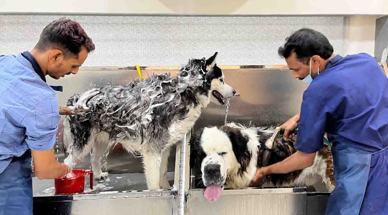 Vetic Pet Clinic Kukatpally