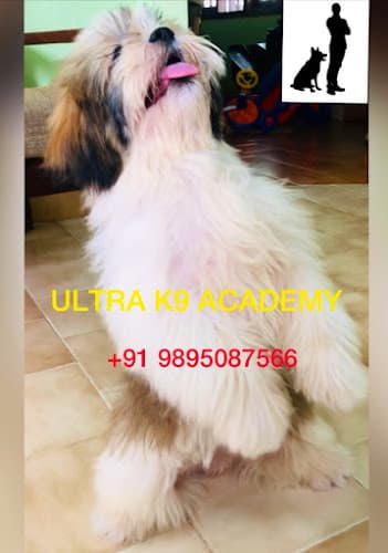 Ultra K9 Academy, Since 2002