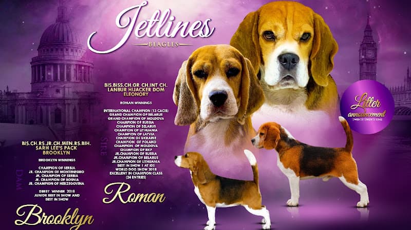 Jetlines Kennel ( Pet Shop / pet boarding/ Dog hostel /Cat hostel )